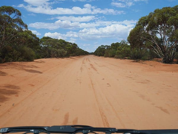 Driving into Mungo National Park