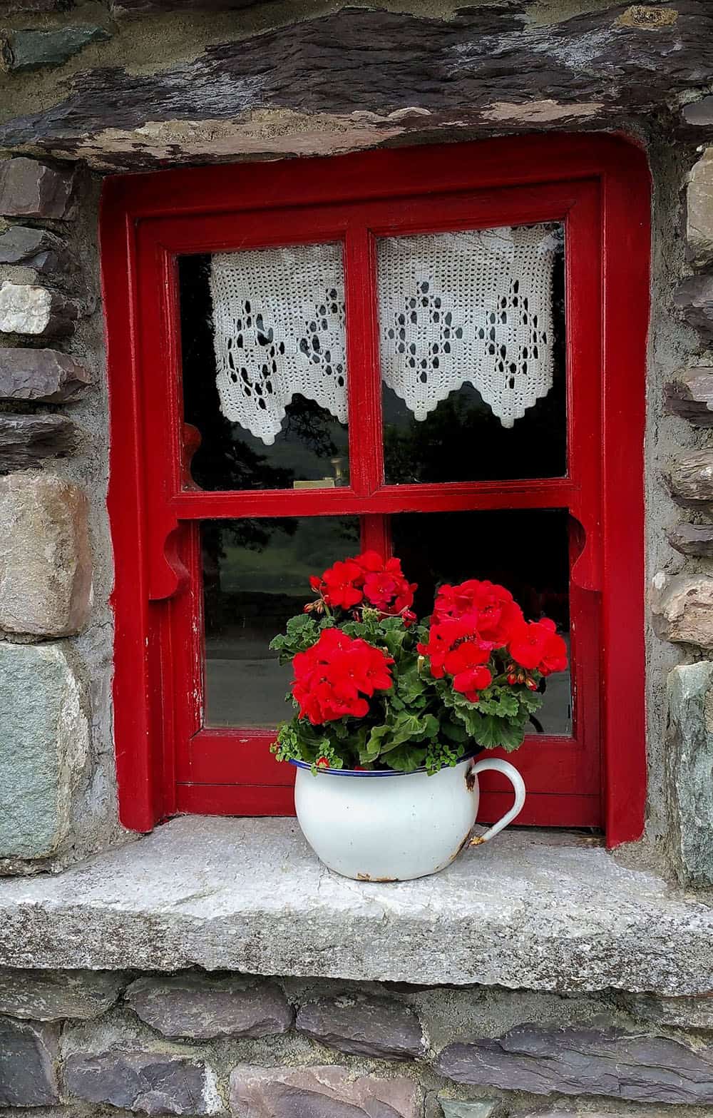 Maltese lace in the window